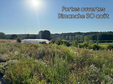 Capucine a table ouvre les portes du champ pour la première fois en été ! Vous avez été nombreux à nous le demander aux jours d’ouverture de la pépinière en avril… parce que voir le champ en été en pleine production, c’est différent !

On ne va pas vous le cacher… la saison est très compliquée… et ça n’est pas facile pour nous de montrer un champ meurtri par la chaleur et la sécheresse… qui ne ressemble pas à un champ d’un été habituel… et en même temps c’est la réalité, c’est ce que nous vivons et c’est aussi important de vous le montrer. Ca sera une belle occasion d’échanger !

Au programme: visites guidées du champ, atelier bouturage, démos de teinture végétale avec @bleubeaulieu, petit bar et petit marché avec le retour de nos tisanes et de nos fleurs séchées 🌸

Rdv au champ le dimanche 30/08
Entrée libre de 10h à 17h
Visites guidées du champ à 10h30 et à 14h30
Démos teintures végétales à 11h30 et 15h30

Venez nombreux! 🌸

Et nous ne sommes pas les seuls à ouvrir nos portes… un grand nombre de floriculteurs.rices de notre réseau @slowflowersbelgique seront aussi ouverts !

#capucineatable #herbesaromatiques #fleurscomestibles #fleursornementales #productionbiologique