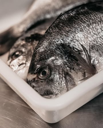 Coquum privilégie dans son menu, les produits de la mer, particulièrement affectionnés par le chef: poissons sauvages, coquillages, algues…
Ici en photo la daurade du précédent menu et en ce moment la vieille, poisson de roche de la mer du Nord.

#poisson #menu #gastronomy #pecheresponsable #woluwe