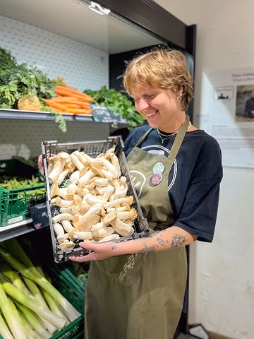 🍄‍🟫 Admirez ces beaux bébés 😍

⇾ des pleurotes Eryngii bio, cultivés à Liège (Saint-Léonard) par @wallifungi

Bien que souvent associé à la cuisine asiatique, l’Eryngii est en réalité d’origine européenne. On l’appelle aussi Pleurote du Panicaut, nom qui provient de son association avec le Panicaut champêtre, un faux chardon dont il parasite les racines si son environnement est pauvre en nutriments.
En le produisant localement à Liège, Wallifungi vous permet de redécouvrir ce joyau de nos terroirs, souvent importé de très loin, dans une version fraîche et délicieuse.

🌱Culture
Sa culture est plus délicate que celle du pleurote classique: sa croissance est plus lente, il préfère la sciure à la paille et il est plus sensible aux variations de température et d’humidité.

😋 Goût et cuisine
Souvent comparé au cèpe, sa chair est ferme et dense, elle reste croquante et charnue même après cuisson, il perd très peu d’eau.
Tout se mange, y compris le pied, il suffit de couper la base. On peut le cuisiner :
- En poêlée : Simplement avec de l’ail et du persil
- Façon « Mer » : Coupé en rondelles, il imite la texture des noix de Saint-Jacques
- Cru : En carpaccio très fin
Mais aussi : Dans des risottos, quiches, ramen, ou grillé au four

❄ Conservation
Il se conserve mieux que la plupart des champignons frais.
Au frais : Il tient 5 à 7 jours au réfrigérateur (environ 4°C).
Congélation : Il supporte très bien la congélation après avoir été cuit ou blanchi.
Séchage : Il peut être séché à basse température (max 35°C).