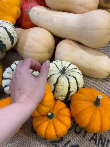 🧺🌾 Cette semaine dans nos magasins…

🎃 Les courges prennent leurs aises dans nos rayons → potimarrons, butternuts, pâtissons, patidous, et courges spaghetti

🍗 Commande de poulets bio de la ferme Ancion! Passez commande en magasin jusqu’au mardi 29 septembre et retirez votre poulet le mardi 6 octobre à partir de 14h. Pour plus d’infos: https://lpp.coop/poulet

😋 Nouvelle récolte de noix de cajou de l’association Tamneere ! Retrouvez leur version grillée et leur version nature dans notre coin vrac.

🐑 🤝 Prenez une part de la coopérative Terre-en-Vue pour aider les Bergers de la Haze à acquérir 4 hectares de terres à Anthisnes. Il reste un petit mois pour récolter les 40% restant → https://www.terre-en-vue.be/fermes/les-bergers-de-la-haze/

🧺 Ce dimanche, la batte se met en mode « produits wallons » - pour rappel, notre magasin de Neuvice est ouvert tous les dimanches de 10h à 15h. N’hésitez pas à passer la porte, c’est à deux pas de la batte! 🌿 Belle semaine à toutes et à tous!

🌿 Belle semaine à toutes et à tous!

#mangersain #legumedautomne #courge #potimarron