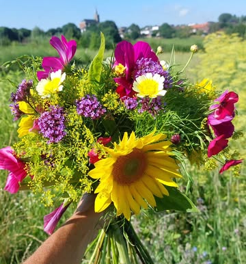 Veldboeketten van De Zaailing te koop in het Huis van de Zaailing! Bestellen t.e.m. vrijdag voor ophaling op zaterdag. €25/st
