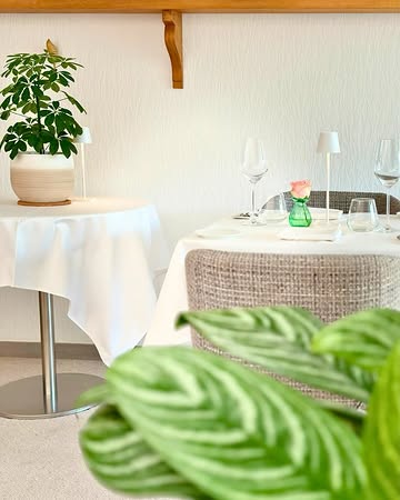 Vacances sans aller loin… ☀️

Des tomates qui craquent sous la dent, une sucrine confite à l’eau de mer, du basilic pourpre pour pimper l’assiette… Ça commence comme une promenade en été.

Ensuite, le lieu jaune se raconte : pêché à la ligne en mer du Nord, cuisiné avec respect : même les arêtes finissent en fumet. Et puis la canette, juste fondante, avec l’aubergine et l’olive noire. Un plat qui respire le Sud et la maîtrise.

Un clin d’œil à la Pêche Melba pour finir, entre crème citron-vanille, sorbet pêche et framboises fraîches.

C’est notre menu du mois d’août. Pas de chichis, mais du goût, du cœur, et des vins qui suivent le mouvement.

Le fil rouge : Une cuisine généreuse, pleine de vie, qui vous emmène loin… sans bouger de votre table.

On vous attend 🧡

#gastroart #gastronomie #gastropost #guidemichelin #foodies

@northseachefs
@ladychefoftheyear
@michelinguide
@gaultmillaubelgium