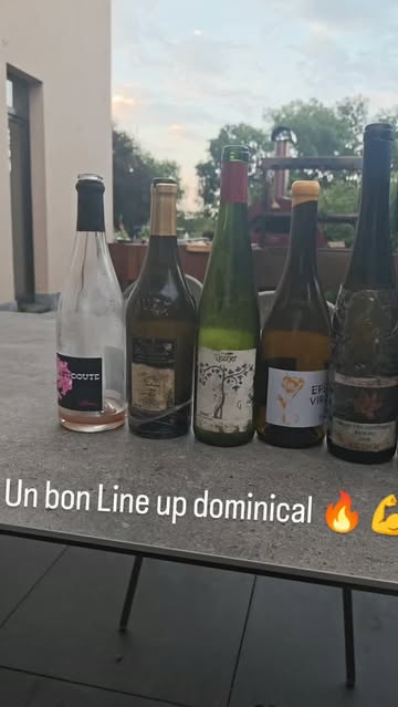 @domaine_belema , @chateaulepuy @maisonlissner @ansodelles @skbi.brewery @fuorimondo.vineyards et tous les autres vins, ça a été trop boooon 🥰