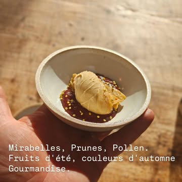 Sorbet miel mirabelles du jardin sur un lit doux de prunes. Pollen

#dessert #cuisinelocale @jecuisinelocal.be #jardin #homemade #wallonie
