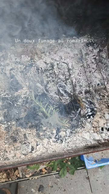 Pour ce soir, on fait légèrement cuire en fumant une belle pièce de veau de chez @lothar_vilz , avec en finition du romarin. Le but? Avoir cette douce notion de fumée mais sans excès 🥰

#feudebois #barbecue #smoking #veau