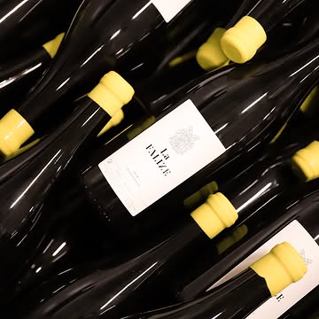 Resting.

Every bottle in the cellar is a vintage in waiting —
a moment in time, sealed and patient.

The 2018 are drinking beautifully now and still have a long life ahead of them

📍 La Falize, Belgium
@la__falize
#belgianwine #lafalize #winelover #winecellar #finewine #wineofinstagram #chardonnay