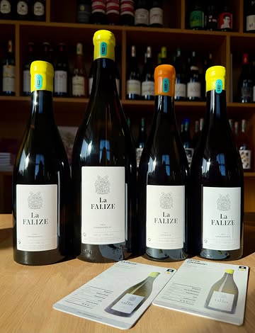 Hier on vous parlait de leurs toutes nouvelles sauces soja, en quantités ultra-limitées… aujourd’hui, place aux vins de La Falize !!!
Le millésime 2022 est encore dispo en bouteille et en magnum : un Chardonnay belge riche et froid à la fois, qui n’a rien à envier à un Grand Bourgogne. On vient aussi de recevoir le Savagnin 2023 et le Chardonnay 2023, deux énormes claques gustatives… des raretés prisées, et on comprend pourquoi.

#lafalize #belgianwine #vinbelge #domainelafalize #chardonnaybelge