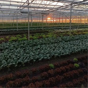 De serre is klaar voor een nieuw pakketten seizoen!🥰
