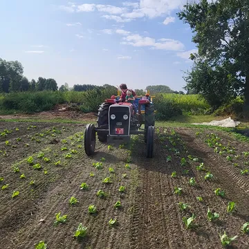 Met goed gezelschap wiedeggen in de radicchio. 💛