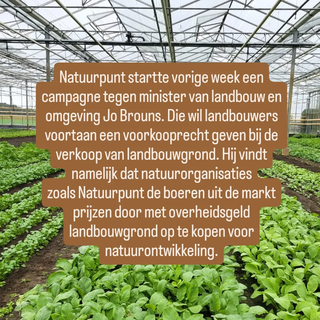 Niet 🌼🌼🌼 maar 🐎🐎🐎 zijn een probleem voor de Vlaamse landbouw.