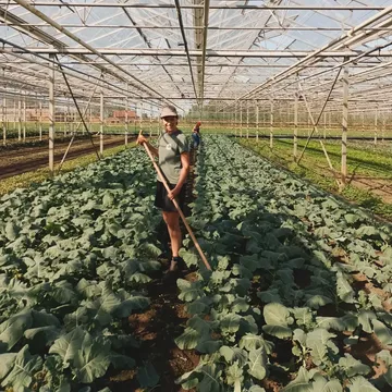 De broccolini staat er proper bij dankzij Kaat en Hannah! 🙏