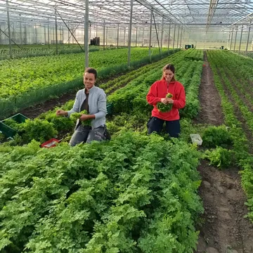 Met de geur van kervel de dag starten! 👌

@marie @nora.chaoui