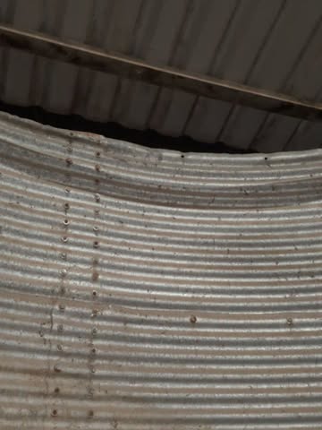 De silo is bijna leeg...
Om mout te maken moeten we de eerst gerst schonen.
de grote korrels gaan naar de mouterij, de kleine worden geplet en aan de dieren gevoederd