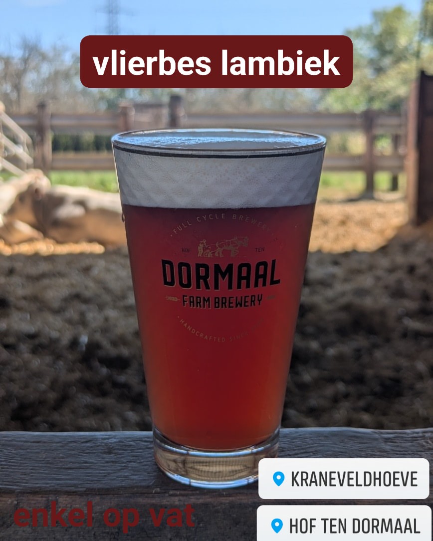 Testje: hebben we 2 kg vlierbessen 10 maanden laten macereren op 60 liter 4 jaar oude lambiek. het resultaat is nu te proeven op de kraneveldhoeve en bij ons, op hof ten dormaal

#lambic #hoftendormaal #kraneveldhoeve #farmbrewery #spontaneousfermentation