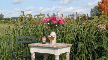 Wist je dat we vlak naast de brouwerij ook een bloemenplukweide hebben? elke dag vrij toegankelijk!
#hoftendormaal #zelfpluktuin #pluktuin #pluktuinhoftendormaal