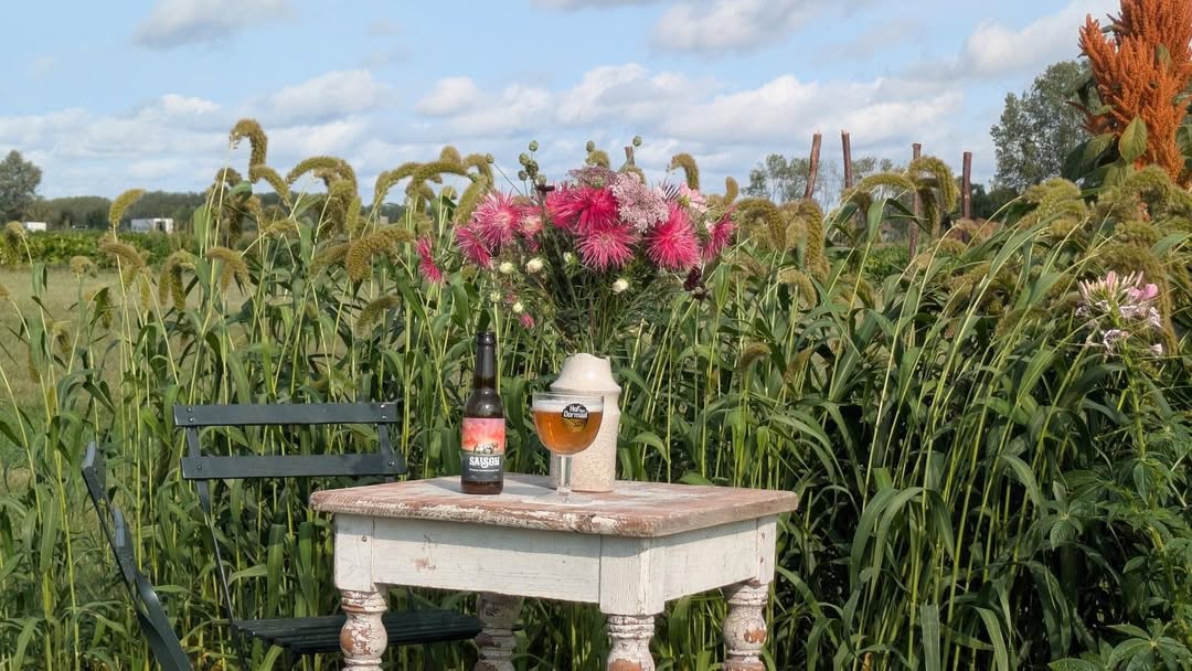 Wist je dat we vlak naast de brouwerij ook een bloemenplukweide hebben? elke dag vrij toegankelijk!
#hoftendormaal #zelfpluktuin #pluktuin #pluktuinhoftendormaal