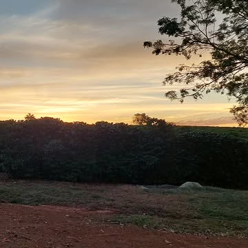 Fazenda Arema , direct trade, merci pour l'accueil Euller et Martine, le paradis
#cofferoasters #specialitycoffee #torrefactionartisanale #coffee #plantation