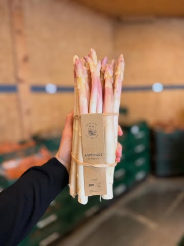 🌱 Les premières asperges belges sont là 🇧🇪

Celles du Domaine de la Falize viennent d’arriver chez Bio Vrac 💚 @domainelafalize

Cultivées en Belgique, récoltées au bon moment et livrées tout près de chez nous… cela fait toute la différence.

Blanches, vertes ou violettes, à chacun selon ses envies de saison.

Fraîches, locales, sans détour. Juste l’essentiel 🌿

Quantités limitées, comme toujours avec les premières récoltes.

🛒 👉 Ouvert tous les jours de 10h à 19h sauf le lundi

📍 Rue Meyerbeer 144 – Uccle
📍 Rue Georges Raeymaekers 51 – Schaerbeek