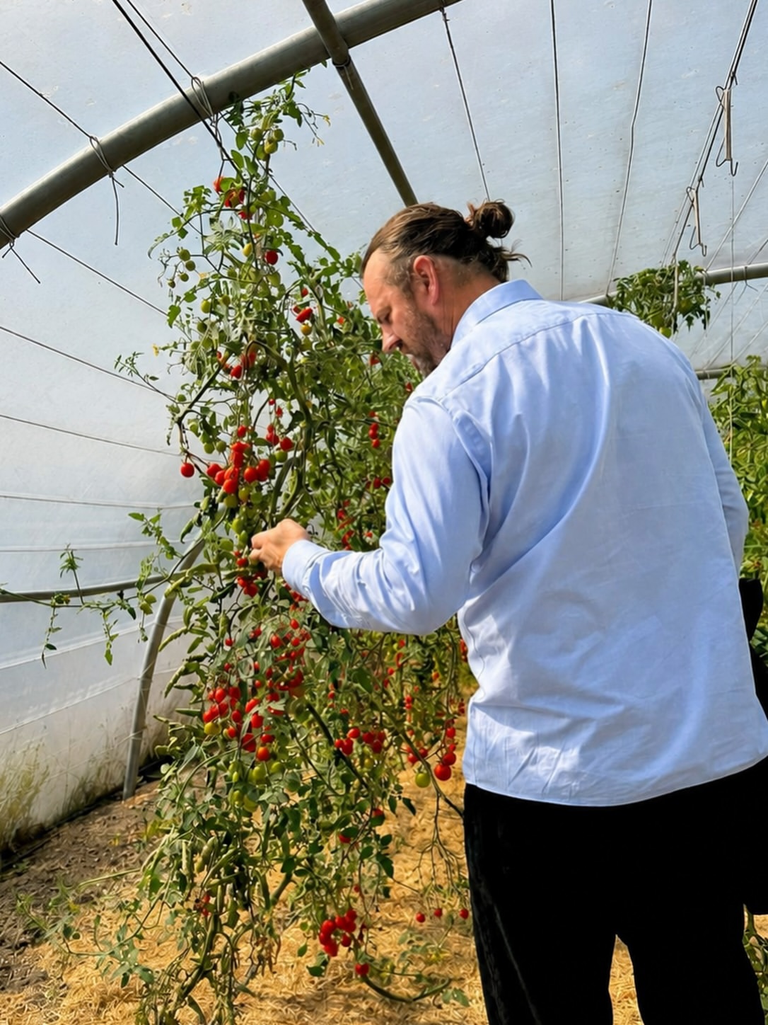 In september levert @de_blauwe_spie niet alleen de producten voor onze keuken: haar oogst vormt het uitgangspunt van het volledige Terroir Lunch menu.

De boerderij in Lo-Reninge ontleent haar naam aan de kenmerkende kleigrond van de streek en behoort tot de pioniers van de biodynamische landbouw in België. De Blauwe Spie werd in 1985 opgericht door Johan Plaetevoet en wordt vandaag geleid door zijn zoon Mattias. Meer dan tachtig soorten groenten, kruiden en eetbare bloemen worden er geteeld met bijzondere aandacht voor een gezonde bodem, biodiversiteit en het natuurlijke ritme van de seizoenen.

Met een speciaal vegetarisch menu verkennen we de diversiteit en smaakdiepte van deze uitzonderlijke oogst. Elk gerecht stelt de producten centraal en brengt niet alleen een ode aan de ingrediënten, maar ook aan de kennis, het geduld en de toewijding die nodig zijn om ze te telen.

Ontdek De Blauwe Spie in september, van veld tot bord.

_________________________

This September, De Blauwe Spie will do more than supply the produce for our kitchen: its harvest will form the foundation of the entire Terroir Lunch menu.

The farm in Lo-Reninge takes its name from the region’s distinctive clay soil and is one of Belgium’s pioneers in biodynamic farming. Founded by Johan Plaetevoet in 1985, De Blauwe Spie is now led by his son Mattias. More than eighty varieties of vegetables, herbs and edible flowers are cultivated with particular attention to soil health, biodiversity and the natural rhythm of the seasons.

Through a dedicated vegetarian menu, Willem will explore the diversity and depth of flavour of this exceptional harvest. Each dish places the produce at its heart, paying tribute not only to the ingredients themselves, but also to the knowledge, patience and dedication required to grow them.

Discover De Blauwe Spie this September, from field to plate.

#Willemhiele
#MichelinStar
#Worlds50best