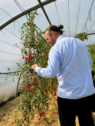 In september levert @de_blauwe_spie niet alleen de producten voor onze keuken: haar oogst vormt het uitgangspunt van het volledige Terroir Lunch menu.

De boerderij in Lo-Reninge ontleent haar naam aan de kenmerkende kleigrond van de streek en behoort tot de pioniers van de biodynamische landbouw in België. De Blauwe Spie werd in 1985 opgericht door Johan Plaetevoet en wordt vandaag geleid door zijn zoon Mattias. Meer dan tachtig soorten groenten, kruiden en eetbare bloemen worden er geteeld met bijzondere aandacht voor een gezonde bodem, biodiversiteit en het natuurlijke ritme van de seizoenen.

Met een speciaal vegetarisch menu verkennen we de diversiteit en smaakdiepte van deze uitzonderlijke oogst. Elk gerecht stelt de producten centraal en brengt niet alleen een ode aan de ingrediënten, maar ook aan de kennis, het geduld en de toewijding die nodig zijn om ze te telen.

Ontdek De Blauwe Spie in september, van veld tot bord.

_________________________

This September, De Blauwe Spie will do more than supply the produce for our kitchen: its harvest will form the foundation of the entire Terroir Lunch menu.

The farm in Lo-Reninge takes its name from the region’s distinctive clay soil and is one of Belgium’s pioneers in biodynamic farming. Founded by Johan Plaetevoet in 1985, De Blauwe Spie is now led by his son Mattias. More than eighty varieties of vegetables, herbs and edible flowers are cultivated with particular attention to soil health, biodiversity and the natural rhythm of the seasons.

Through a dedicated vegetarian menu, Willem will explore the diversity and depth of flavour of this exceptional harvest. Each dish places the produce at its heart, paying tribute not only to the ingredients themselves, but also to the knowledge, patience and dedication required to grow them.

Discover De Blauwe Spie this September, from field to plate.

#Willemhiele
#MichelinStar
#Worlds50best