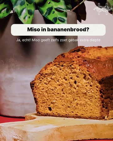 Miso: het geheime wondermiddel in de keuken. Niet alleen voor hartige of Aziatische gerechten: ook in zoete bereidingen zorgt miso voor een verrassende toets en extra diepgang. In bananenbrood bijvoorbeeld. (Ontdek het recept op bolandferments.com)

Op 21 oktober komen Kyle en Leentje van Boland Ferments naar Eethaven om hun expertise met jullie te delen. Leer hoe je zelf miso maakt, proef verschillende huisgemaakte miso’s en stel al je vragen aan de experten.
Woensdag 21 oktober · 19:30–22:30
📍 Eethaven

Je gaat naar huis met je eigen gemaakte miso én een hoop inspiratie om er zelf mee aan de slag te gaan. Schrijf je in via de link in bio.