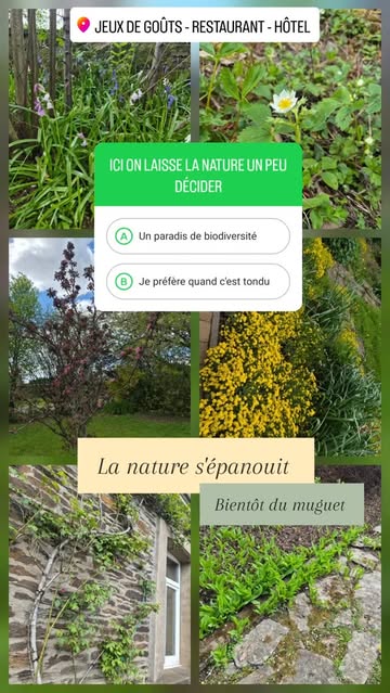 #hôtel #jardinfleuri #terrasse #bistronomie #biodiversité