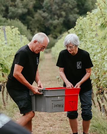 ✏️ Nos fournitures de rentrée :

Des bottes aux pieds.
Un sécateur bien affûté.
Des caisses par dizaines.
Du vin, évidemment.
Des grappes à n’en plus finir.
Et surtout, beaucoup de bras.

Ici, septembre se passe entre les rangs.

Au programme : vendanger, trier, recommencer ✂️