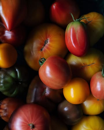 Tomates séchées et gélifiées avec leur propre pectine, elles sont accompagnées d’une huître Gillardeau, de crème aigre et d’une huile parfumée à la verveine.

-

Tomatoes, dried and set with their own pectin, served with a Gillardeau oyster, sour cream and verbena-infused oil.

📷 @maurine.toussaint
