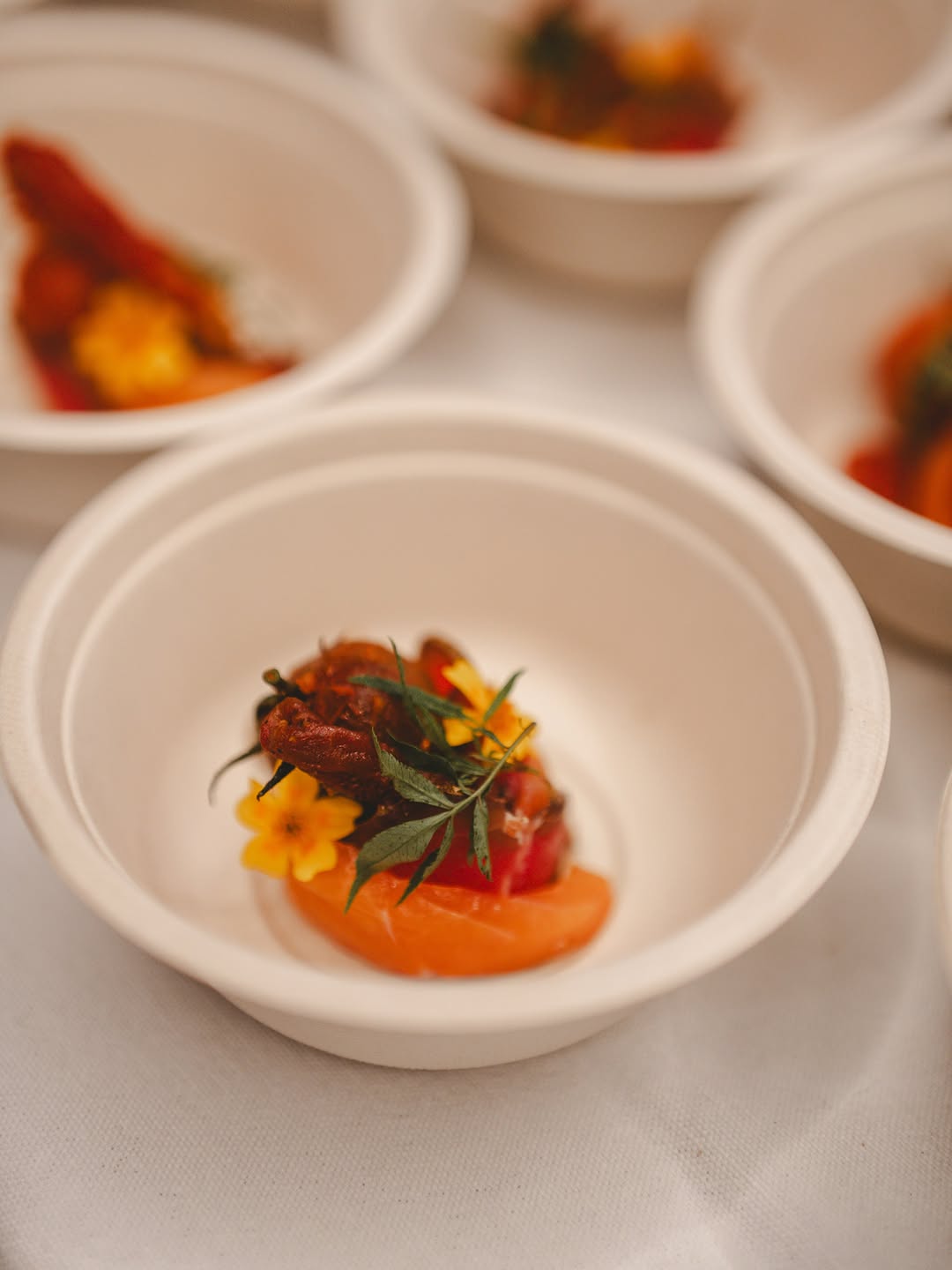 🍽️ DÉCOUVREZ LES PLATS DES CHEFS!

Ce week-end, les chefs invités de Manger Mieux Demain vous feront découvrir une dégustation imaginée spécialement pour le festival.

SAMEDI 3 OCTOBRE
@bossimefermegastronomique — Croustade feuilletée, épaule de porc, champignons & ail noir
@chef_prive_bouchery — légumes fermentés, petit-lait & figuier
@stefanjacobschef — gésiers de canard, poulpe & aubergine
@restaurantprimitif — Glace à la morille des pins, maïs , caramel & sarrasin
@petitpaysrestaurant — brioche pizza, tomate & chèvre, cosmos
@latablel — courge, marron, miso blanc & labneh

DIMANCHE 4 OCTOBRE
@entropyrestaurant_brussels — courge confite, capucine, épeautre & miso
@bargebrussels — truite d’Ondenval au vert & herbes
@humushortense — panna cotta de yaourt, concombre & poivron vert
@la_grappe_d_or_arlon — Coucou de Malines, tomate rôties & croquette de pomme de terre
@maison_lieu_de_partage — tartar de betteraves, tomate & condiments
@toma_liege ! — La tartine de Lothar !

LUNDI 5 OCTOBRE
@airdutemps_belgium — navet confit au doenjang, jus lactofermenté & céréales torréfiées
@jeremy.vandernoot — tourte veau/cochon, pommes de terres fumés & jus à la Kriek
@maloma.comptoir — Tacos wallon
@vilainrestaurant — Effiloché de pleurotes façon pulled pork, espuma de fromage belge & graines de tournesol torréfiées.
Hors-Champs — Terre-Mer
@cdcartculinaire — Agneau, caponata, collection de tomates du jardin & sauce Choron au beurre noisette.

🔥 Il ne reste plus que quelques places pour samedi et dimanche !

🎟️ Réservations via la billetterie en bio

📸 @septembre.atelier