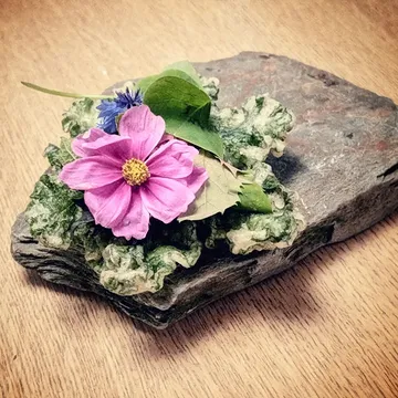 Frisse start van ons nieuw menu.

Malva tempura, sparemulsie, geluksklaver, andoorn, fluo melde, shiso, comosbloem, korenbloem.

We werken steeds met de bio kruiden, bloemen en groenten van @mondedesmillecouleurs.

Kom mee genieten!

#restaurantgent #duurzamekeuken #seizoensgebonden

Frisse start van ons nieuw menu.

Kombuchagelei, duindoorn, pompoen.
Roggel shortcrust, crème au beurre miso.
Shiso, flageoletcrème, bernagie.

We werken steeds met de bio kruiden, bloemen en groenten van @mondedesmillecouleurs.

Kom mee genieten!

#restaurantgent #duurzamekeuken #seizoensgebonden