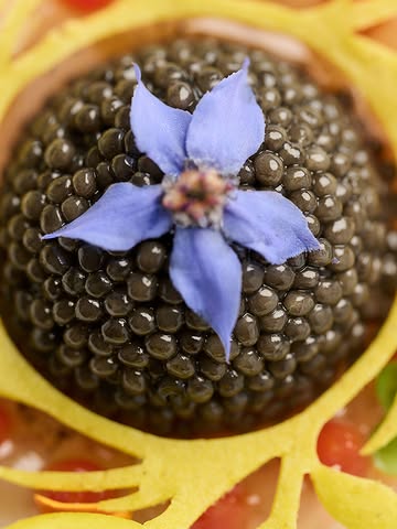 La grande cuisine, ça se découvre jeune. 🍽️ Le Château du Mylord ouvre sa table aux moins de 28 ans avec le menu Initiation : 4 services signés Martin Simonart, all-in à 85 €, avec des plats qui changent au gré des arrivages.

Un vrai menu gastronomique, pensé pour celles et ceux qui veulent goûter la haute cuisine sans se ruiner. Servi uniquement le mercredi soir et le samedi midi, sur réservation.

Réservations par téléphone, e-mail ou via notre site.

_____

Grote keuken ontdek je jong. 🍽️ Het Château du Mylord opent zijn tafel voor wie jonger is dan 28 met het menu Initiation: 4 gangen van Martin Simonart, all-in aan 85 €, met gerechten die wisselen volgens de aanvoer.

Een echt gastronomisch menu, bedacht voor wie de haute cuisine wil proeven zonder de bank te breken. Enkel op woensdagavond en zaterdagmiddag, op reservatie.

Reserveren via telefoon, e-mail of onze website.

#ellezelles #Gastronomie #jeunesgastronomes #jongeren #finedining

Reserveringen | Réservations

☎️ +32 68 54 26 02
✉️ info@mylord.be
💻 www.mylord.be

📍 Ons adres | Notre adresse📍

Rue Saint-Mortier 35
7890 Ellezelles

📸 Anthony Florio