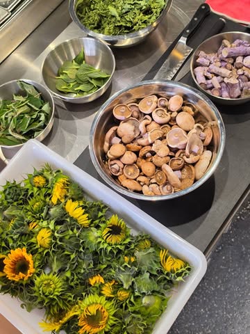 🌻🍃🍂🍄