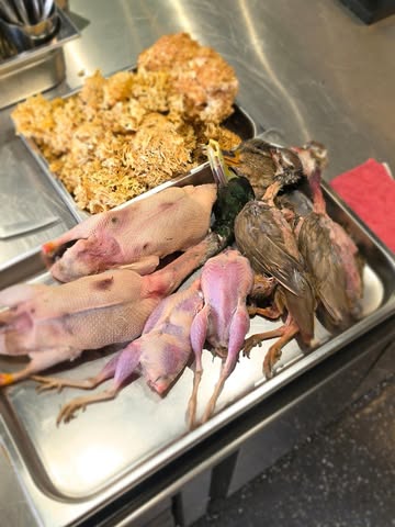 🦆🍁🪾🍄