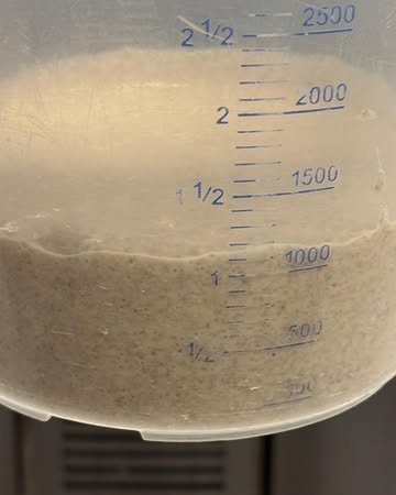 Ondertussen is onze desem aan het rusten , morgen gaan we deze terug beetje opstarten

Nu woensdag -DONDERDAG-vrijdag kan je bestellen .

Woensdag en vrijdag zijn het onze huisbroden en op donderdag kan je nog een koolbrood bestellen of een heerlijke goulashsoep.

Zaterdag komt er nog aan!

Nu dodo doen en morgen zijn we in Arendonk !!!