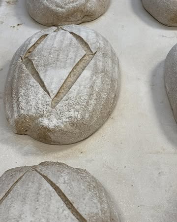 Een nieuwe week !

Wat deze week allemaal

Je kunt bestellen voor woensdag ,DONDERDAG ( limited edition😉), vrijdag en voor zaterdag. Zaterdag is er een extraatje , je besteld ONLINE 4 broden en dan krijg je 1liter haverchoco van natumi.bio. Vergeet deze dan niet mee aan te duiden 😁

Je kunt deze ook apart bestellen .

Een kleine promo voor weekend van de klant.

Zaterdag ook extra hartige broodjes,Fruitbroodjes etc etc

Zie jullie zaterdag ?!?!?!?!
www.hetbroodverhaal.be