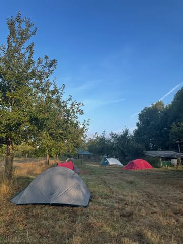 Afgelopen weekend ruilden we ons werktenue in voor tenten, kampvuur en tijd voor elkaar.

We brachten een heerlijk kampeerweekend door op de boerderij met alle wekelijkse vrijwilligers van ROOTS en onze vaste medewerkers van Ourobouros. Mensen die doorheen het jaar samen de handen uit de mouwen steken en zorg dragen voor deze plek.

We genoten van het samenzijn, van lange gesprekken rond het vuur, van de enige echte Highland Games: ROOTS versus Ourobouros, van samen dansen, een ontspanningsoefening in het gras, een heerlijke BBQ met de lekkerste groenten van de boerderij en nog zoveel meer.

Maar bovenal was het een weekend van ontmoeten, vertragen, lachen en genieten.

Want achter elke werkdag van ROOTS en Ourobouros staan mensen die het beste van zichzelf geven. Mensen die mee bouwen aan deze plekken, elk op hun eigen manier.

Dankjewel aan iedereen die van ROOTS en Ourobouros ❤️🌿