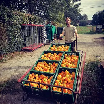 In de heerlijke nazomerzon verschijnt een nieuwe lading gele paprika's 🌞,
dienen rabarberstengels zich uitnodigend aan 🫶
en liggen de pompoenen zalig te rijpen op het veld tot jij jou met een nieuwe bestelling aanmeldt! 👏

Als je in september een buur, vriend, collega of familielid laat kennismaken met wat Ouro-land te bieden heeft, schenken wij jou graag een extra portie Ouro-weelde twv. 15euro bij jouw volgende bestelling!!! 🎁

Breng je ons een nieuwe klant aan? Kies je voor een extra portie fruit op 't werk? Wil de kinderopvang biologisch gaan? Heb je andere ideeën?
Grijp je kans deze maand en stuur een mailtje naar groentemanden@ourobouros.be

Dan oogsten wij met veel plezier een cadeautje voor jou mee!

#meteennazomerzoen
#ishetomdegelepaprikarabarberofpompoentedoen
#spreadingouro❤️
#devroente

🌱