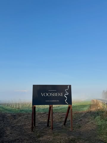 Even our furry friends stopped to admire the new sign 🐴🍇
Our logo shining in the vineyard, and we couldn’t be prouder. 🍷✨

@allletteringdesign
@omheiningen_bouveloo
