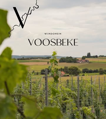 🇧🇪 Discover Domaine Voosbeke, one of Belgium’s most exciting emerging wine estates.

💛 In Moregem, nestled in the heart of Flanders, Isabelle Depierre crafts distinctive cool-climate wines with a strong sense of place and personality. Working with great attention to detail, she embraces spontaneous fermentation and bottles her wines unfiltered to preserve their purity, energy and terroir expression.

💛 The result? Vibrant, characterful and gastronomic wines that stand proudly alongside the new generation of European winegrowers.

💛 WineBoxers is proud to be the exclusive distributor of Domaine Voosbeke.

#belgianwine #coolclimatewine #moregem #terroirdriven #spontaneousfermentation
