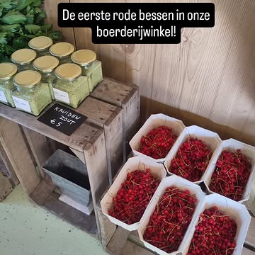 We vullen het aanbod van onze boerderijwinkel verder aan. Nu liggen er de eerste rode bessen, maar ook prachtige boontjes, venkel en bloemkool.

En heb je ons kruidenzout al geproefd?

Vandaag is de boerderijwinkel en zomerbar nog open tot 18u. Zondag van 11u tot 18u.