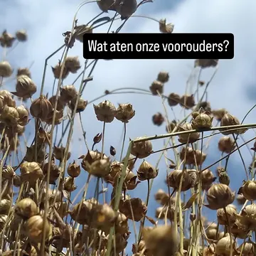 @defoodarcheoloog komt vanavond met een bevlogen verhaal over wat onze voorouders vroeger aten.
Wat kunnen we daaruit leren om duurzamer en creatiever in de keuken aan de slag te gaan?
Iedereen welkom vanavond om 20u op onze bioboerderij.

#myknokkeheist