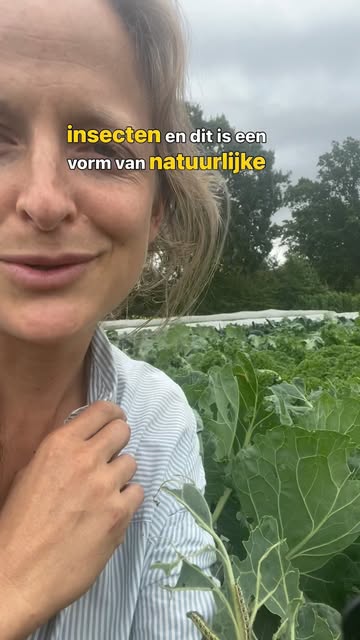 Een prachtig voorbeeld van natuurlijke bestrijding door nuttige insecten 🙌🏽!

#duurzamelandbouw #supportlocal #dowhatyoulove