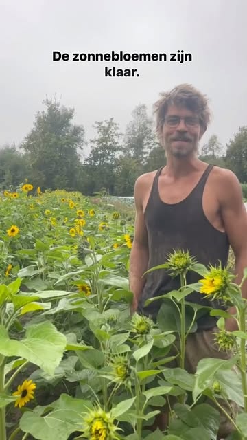 Een streepje reclame voor de allerlaatste zelfpluk zonnebloemen van dit seizoen. Het is nu de moment om de lokale zomer nog eens in huis te halen 🌻!

Er zijn ook nog zinnia’s, kosmos en prachtige dahlia’s.

Veel pluk plezier! Op het einde van de Kruisdreef 😉.

#duurzamelandbouw #korteketen #supportlocal #destelbergen