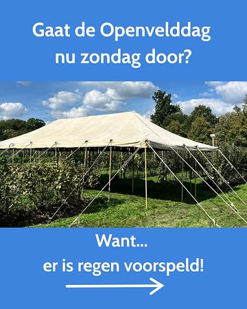 De Openvelddag gaat door 💦☀️! Wij namen extra maatregelen om er een fantastisch feest van te maken. De lokale markt gaat door in de tunnelserre en we voorzien zoveel mogelijk overdekte ruimte. Wij verwachten jullie massaal in jullie regenpakken en laarzen, sexy!

Tot zondag 😎,
Boeren Basil, Benny & Elise

#supportlocal #duurzamelandbouw #community #dowhatyoulove
