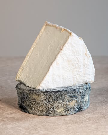Karditsel-kazen kan je in twee groepen delen: kazen met een witschimmelkorst (Penicillium), zoals onze geitenbrie Florence, en kazen met een geotrichumkorst, zoals Kamiel (die dankzij een aslaagje zijn donkere korst krijgt).

Al onze geitenkazen rijpen met zorgvuldig gekozen bacteriën, gisten en schimmels. Ieder type kaas beschikt over zijn eigen biotoop met aangepaste temperatuur, luchtvochtigheid en luchtcirculatie, om zo de gewenste micro-organismen tot ontwikkeling te brengen en ongewenste organismen te weren.

#kaasambacht