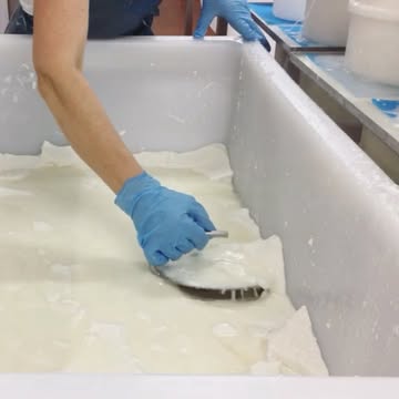 Hoe wij onze lekkere geitenkazen scheppen? 100% volgens het traditionele, Franse kaasambacht: mouler à la main à l'aide d’une pelle à brie.