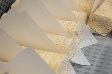 😍 Onze Aurélie is perfect gerijpt en klaar voor vertrek 🚛 #kaasambacht