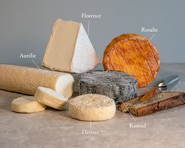 Vijf kazen, vijf karakters, allemaal ontstaan uit dezelfde rauwe geitenmelk van onze boerderij. 🧀
- Florence Natuur: onze romige geitenbrie met een klassieke witschimmelkorst.
- Rosalie: met haar warme, zongekleurde korst en friszure toets.
- Kamiel: stoer en asgrijs vanbuiten, zacht en friszuur vanbinnen.
- Désiree: het verfijnde zusje van Virginie met een gelige, gerimpelde geotrichumkorst.
- Aurélie: ons geliefde geitenrolletje, bekroond tot beste Belgische rauwmelkse kaas 2025

Welke van deze vijf verkies jij?