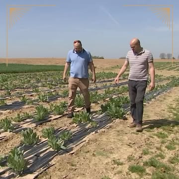 Vous voulez une belle histoire à raconter à vos convives ?👏

Ce week-end sera parfait ☀️
Vous voyez ?
Nous travaillons de beaux et bons produits pour un résultat qui s’apprécie en bonne compagnie ;-)

Et pour la commande, voici où trouver nos produits?
Par ici,
📍http://noblesse1882.be/ou-nous-trouver/
Plus d’excuses 😉

Invitez, partagez, goûtez &
Libérez sa fraîcheur💦

Le Pastis Ardent
Intense par Nature

#Noblesse,
#LoeuvreDuTemps #PastisArdent #MadeInWallonie #Liege #ProduitWallon #alcoolBelge #drinkstagram🍸