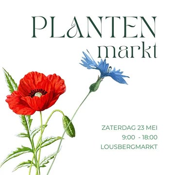 Nu zaterdag, tijdens buurtfeest Fernand, is er opnieuw plantenmarkt. Kom af, de zon gaat schijnen! ☀️☀️☀️